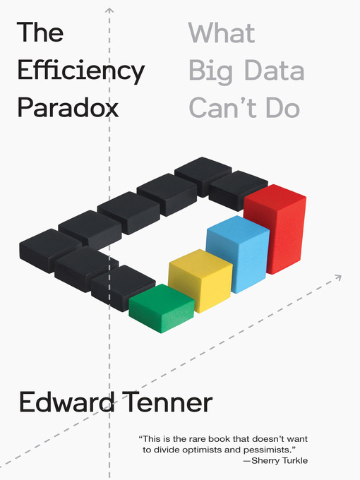 Cover image for The Efficiency Paradox